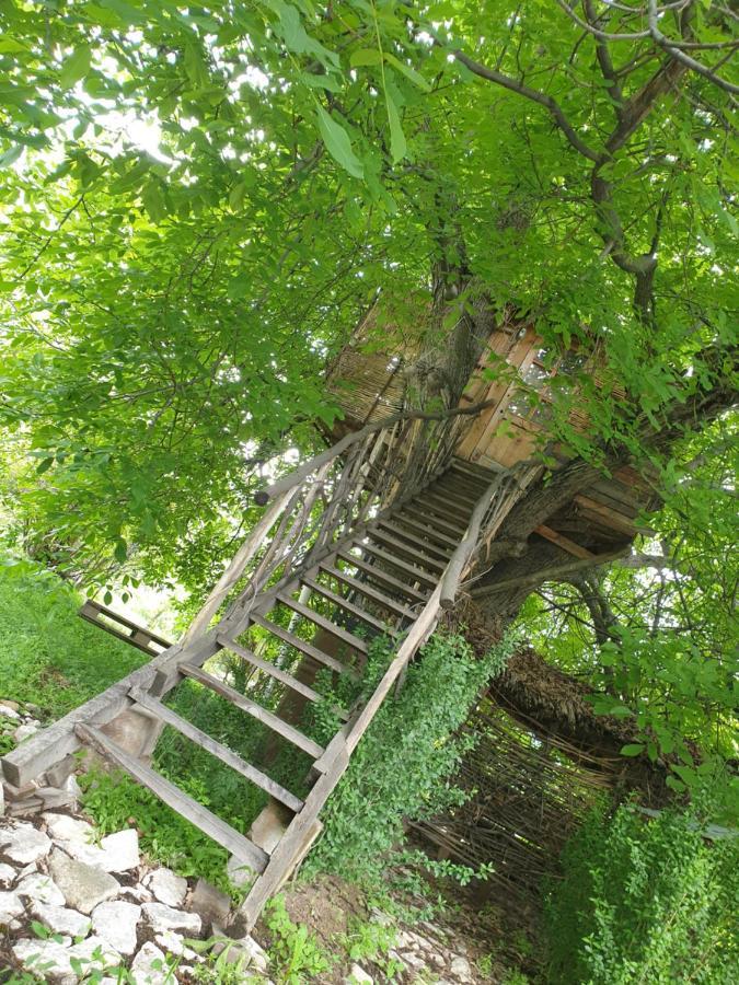 Areni House B&B Exterior photo